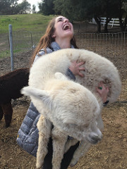 "At last, at last!  I have my very own dead alpaca!"