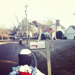 "Aww, look at her, guarding her litter."