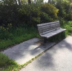 "This bench in loving memory of all those suffering from OCD."