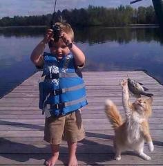 Using a fish and cat as bait, young Dave was determined to catch himself a crocodile. 