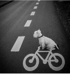 His barks worse than his bike. 