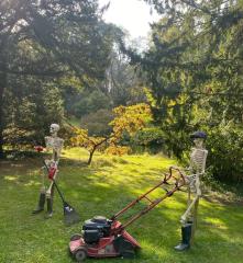 Lawn of the Dead