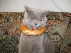 Bagelpuss