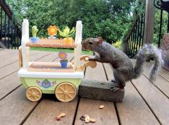 “…and that was the very imaginative, albeit put together at the last minute, story of Sammy Squirrel and his trolley of plastic plant pots. The BBC would like to thank those of you who did decide to tune in and would again like to apologise for the s