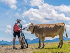 "Cycling really makes my calves ache."

"You should try giving birth to them."