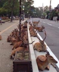 "Waking up in the gutter, lads, that was some stag do."