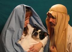 A stray in a manger.