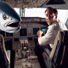 Hake’s on a Plane