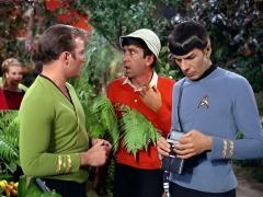 "Sorry Gilligan, but a red shirt is a red shirt."