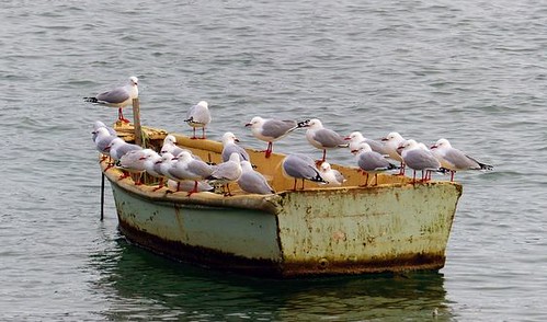 "We are gathered here today to remember Reg and to take warning that in these days not everything left on the beach that is sausage-shaped is a sausage"