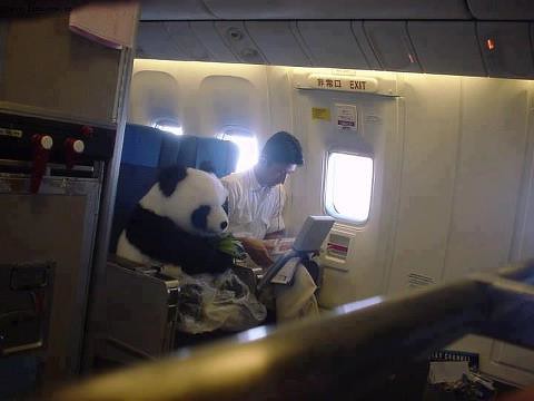 "A Chimp is flying this plane." "Surely you cant be serious." "I am serious, and dont call me Sho Li." 