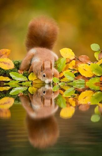 "Bloody captioneers. Always photographing me washing my nuts."